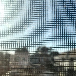 Meet your Posher, Annette